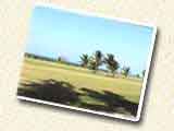 FREE POSTCARD: Playing golf on the Half Moon golf course in Montego Bay.