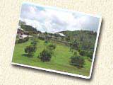 FREE POSTCARD: Institute of Caribbean Missions